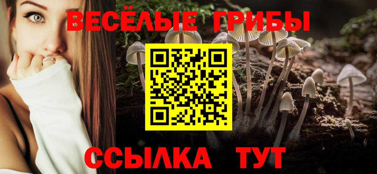 Галлюциногенные грибы Cubensis Аксай