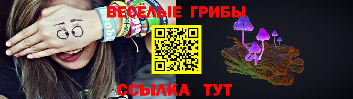 Аксай  Галлюциногенные грибы мухоморы  купить закладку  Вход с VPN 